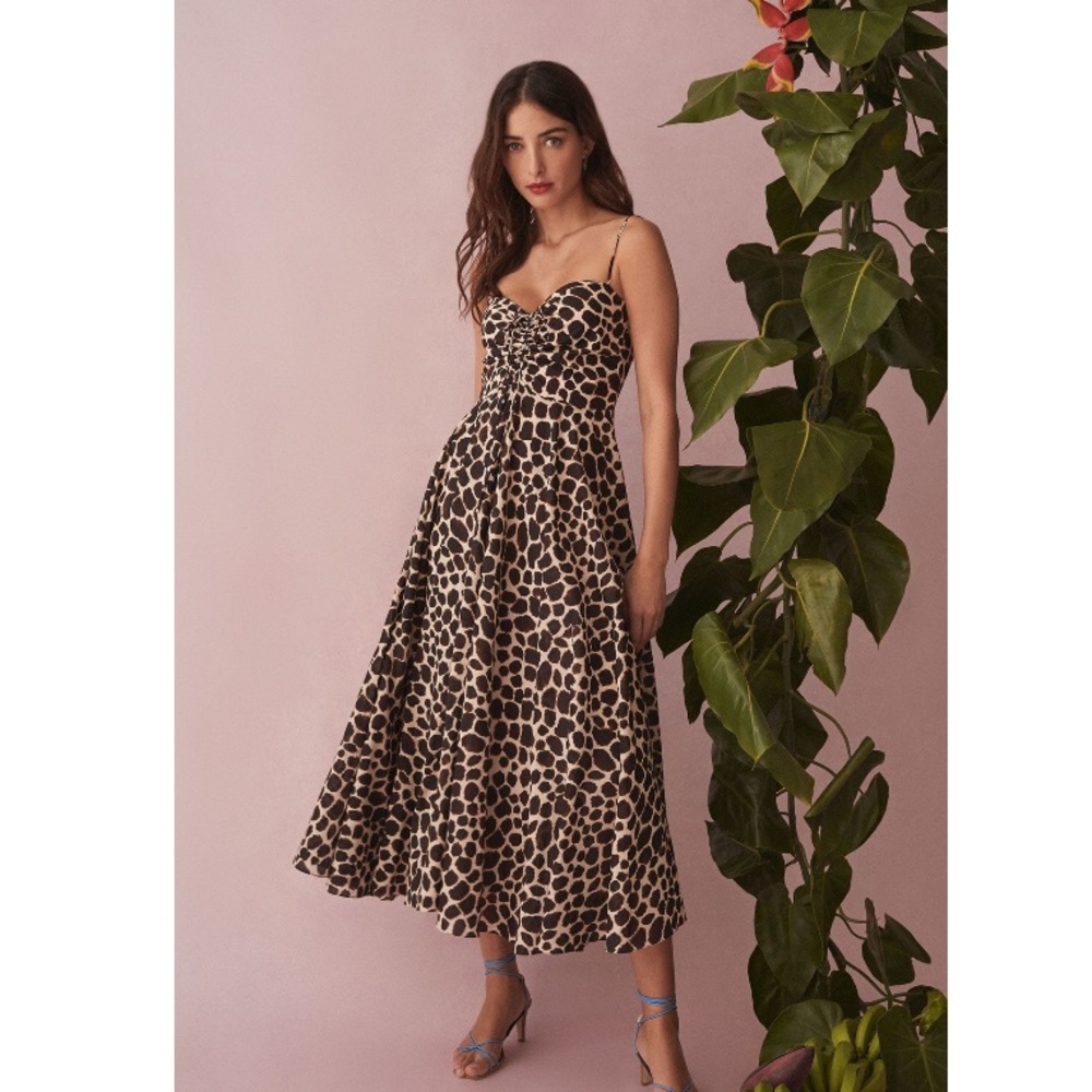NWT Cara Cara Maidstone Dress in Animal Print